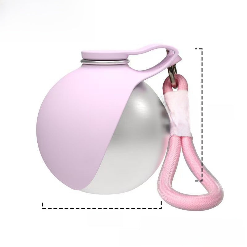 Portable Insulated Pet Water Bottle